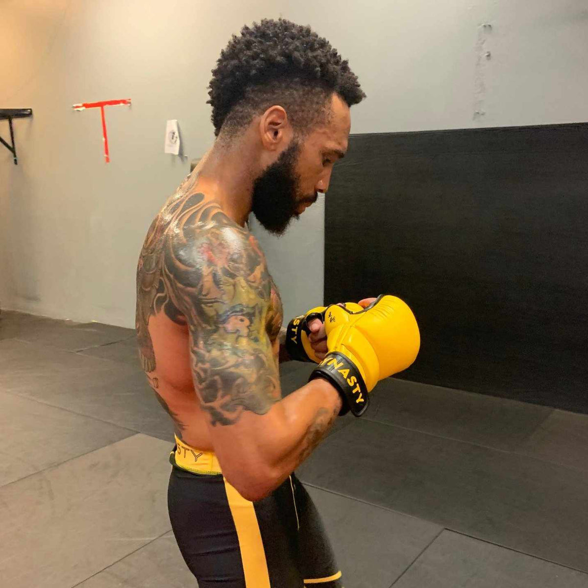 Dynasty Legendary MMA Sparring Gloves-MMA Gloves - Dynasty Clothing MMA