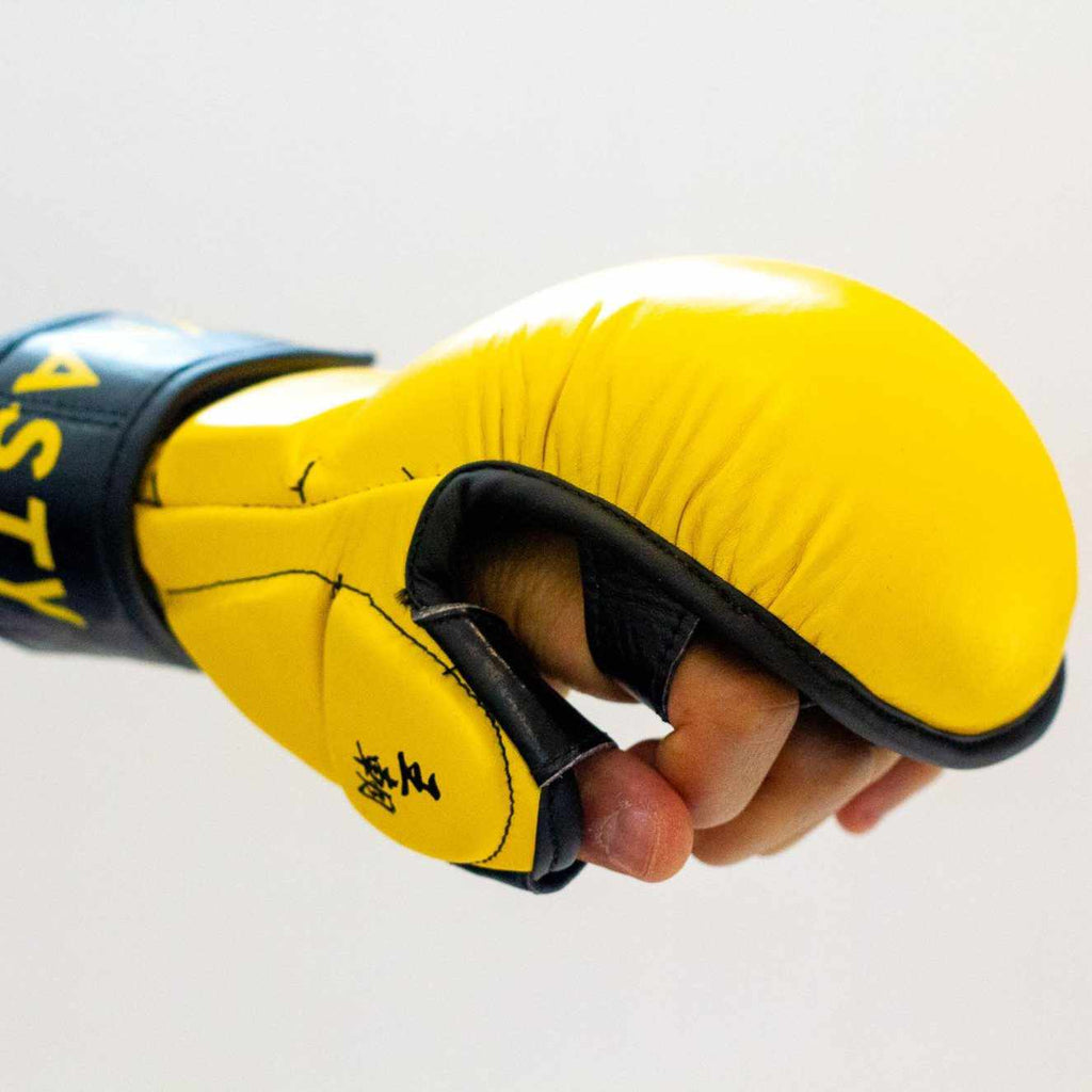 Dynasty Legendary MMA Sparring Gloves-MMA Gloves - Dynasty Clothing MMA
