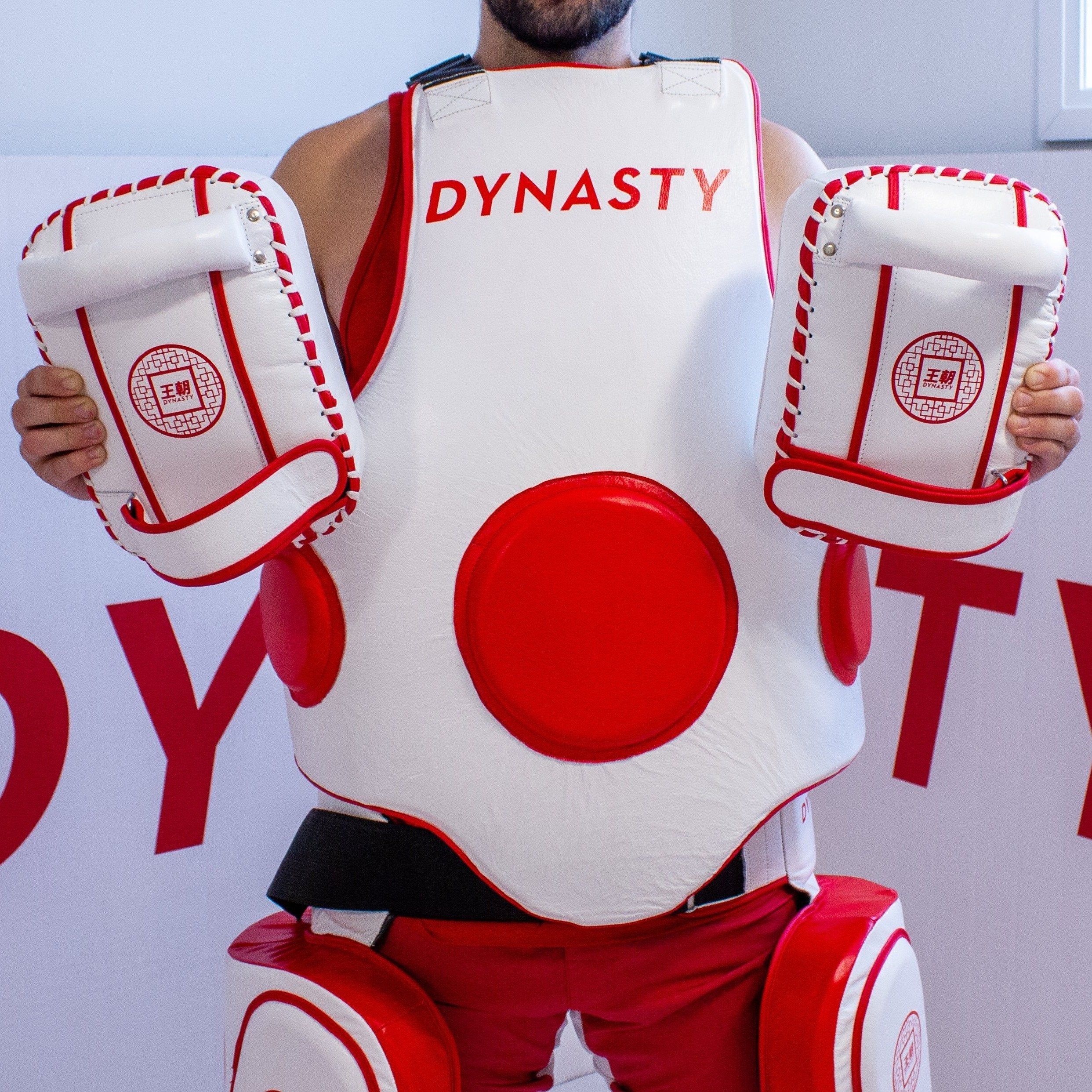 Dynasty Mini "Tofu" Striking Pads-Coaching Equipment - Dynasty Clothing MMA