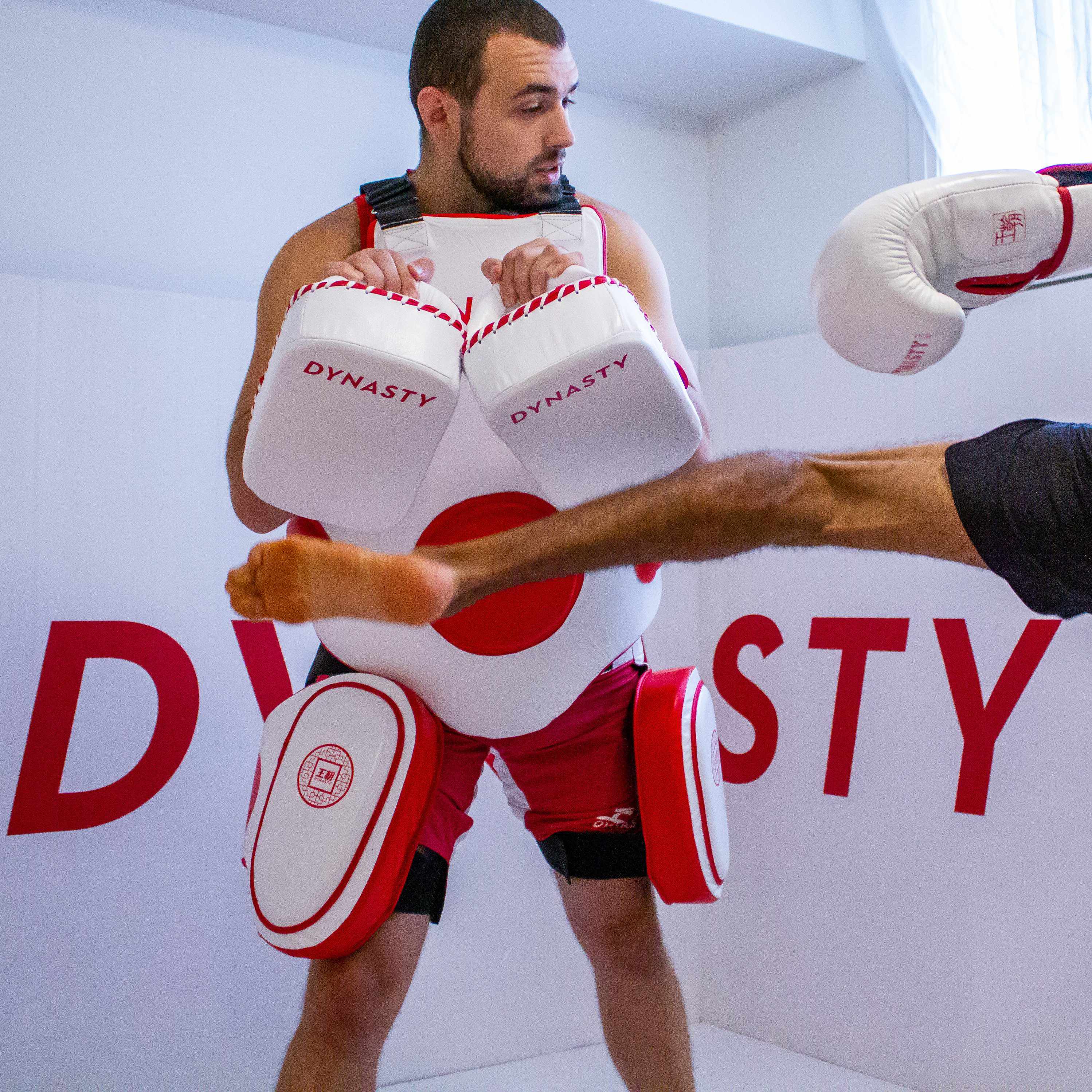 Dynasty Mini "Tofu" Striking Pads-Coaching Equipment - Dynasty Clothing MMA