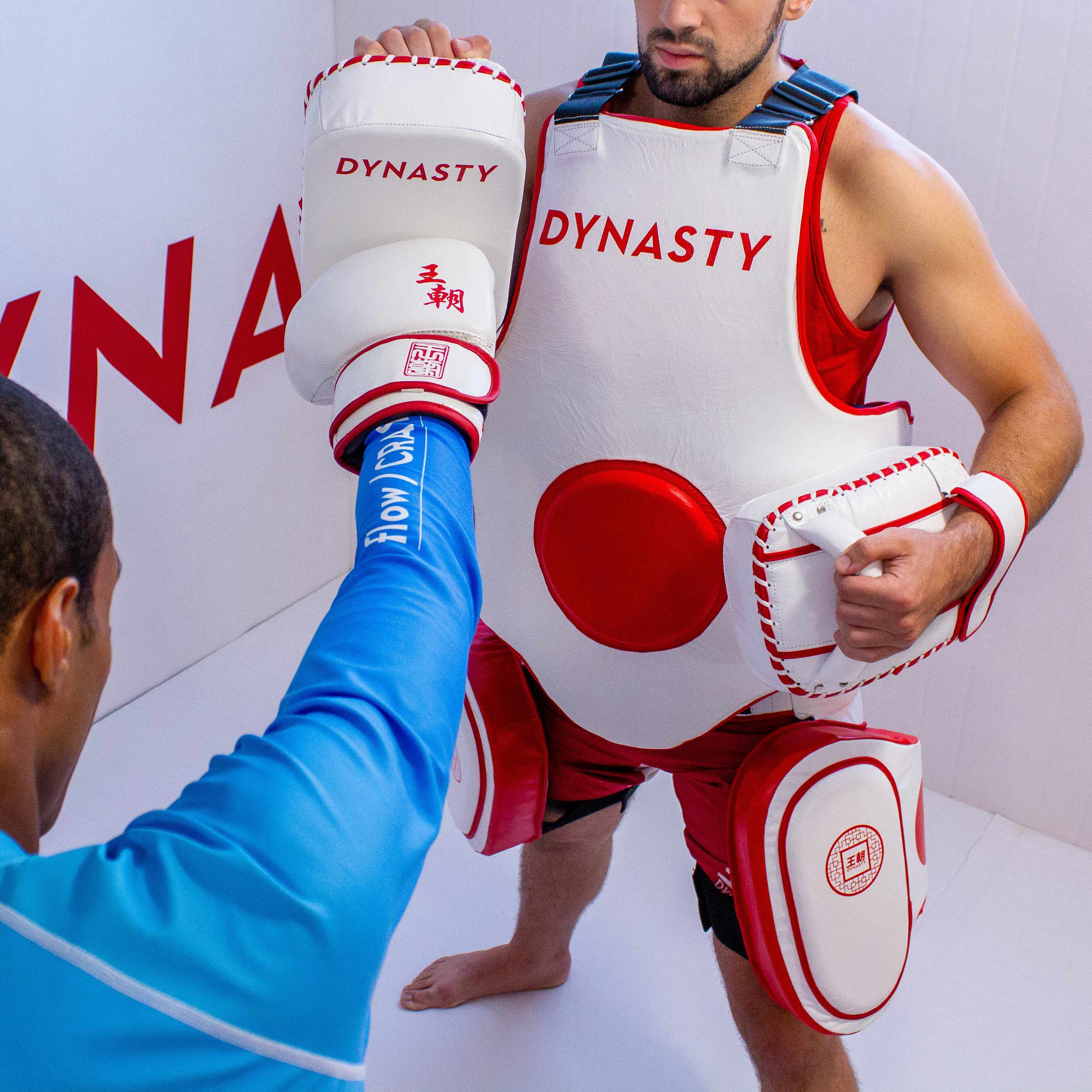 Dynasty Mini "Tofu" Striking Pads-Coaching Equipment - Dynasty Clothing MMA