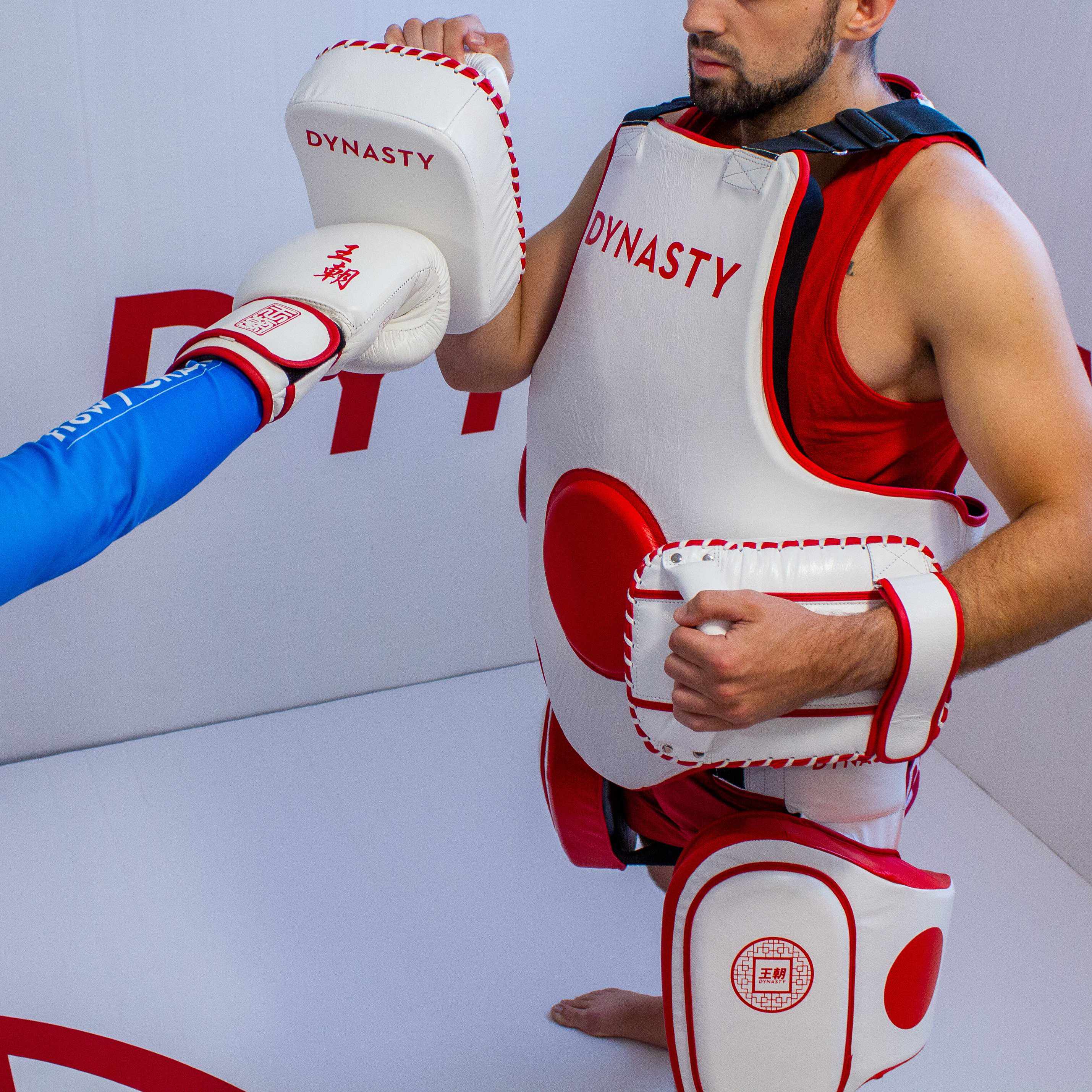 Dynasty Mini "Tofu" Striking Pads-Coaching Equipment - Dynasty Clothing MMA