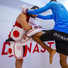 Dynasty Muay Thai Kick Pads-Coaching Equipment - Dynasty Clothing MMA
