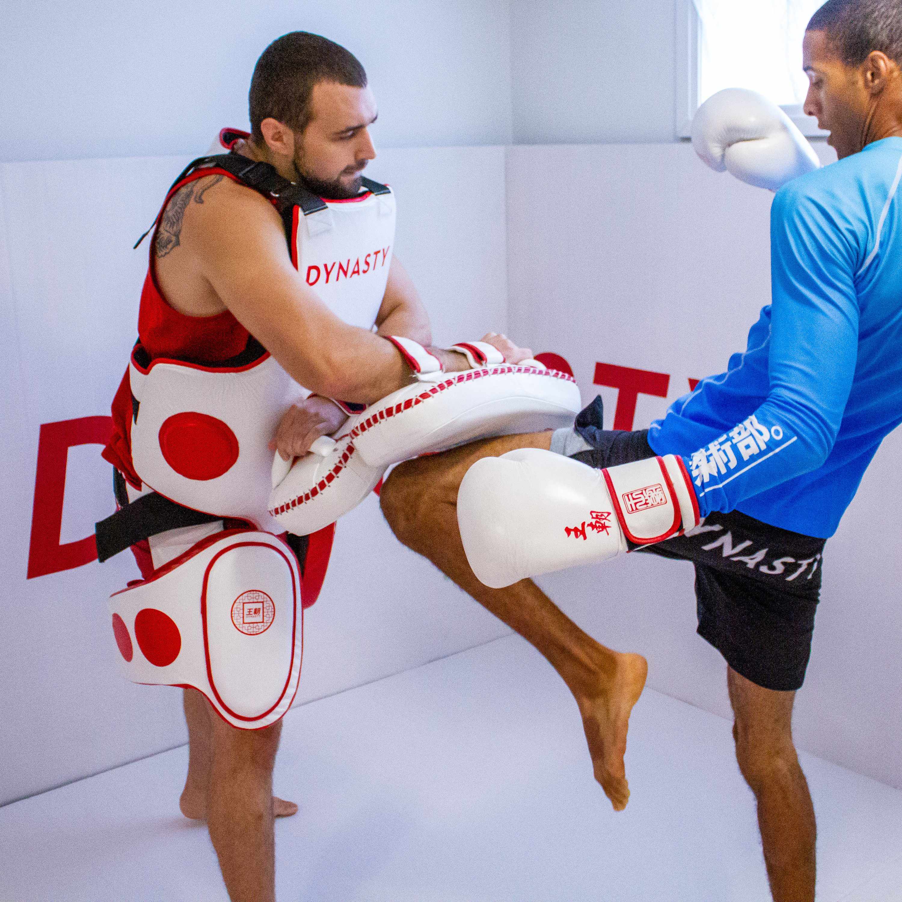 Dynasty Muay Thai Kick Pads-Coaching Equipment - Dynasty Clothing MMA