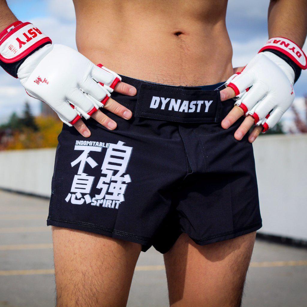 Short MMA : short Free-fight, tenue de combat MMA