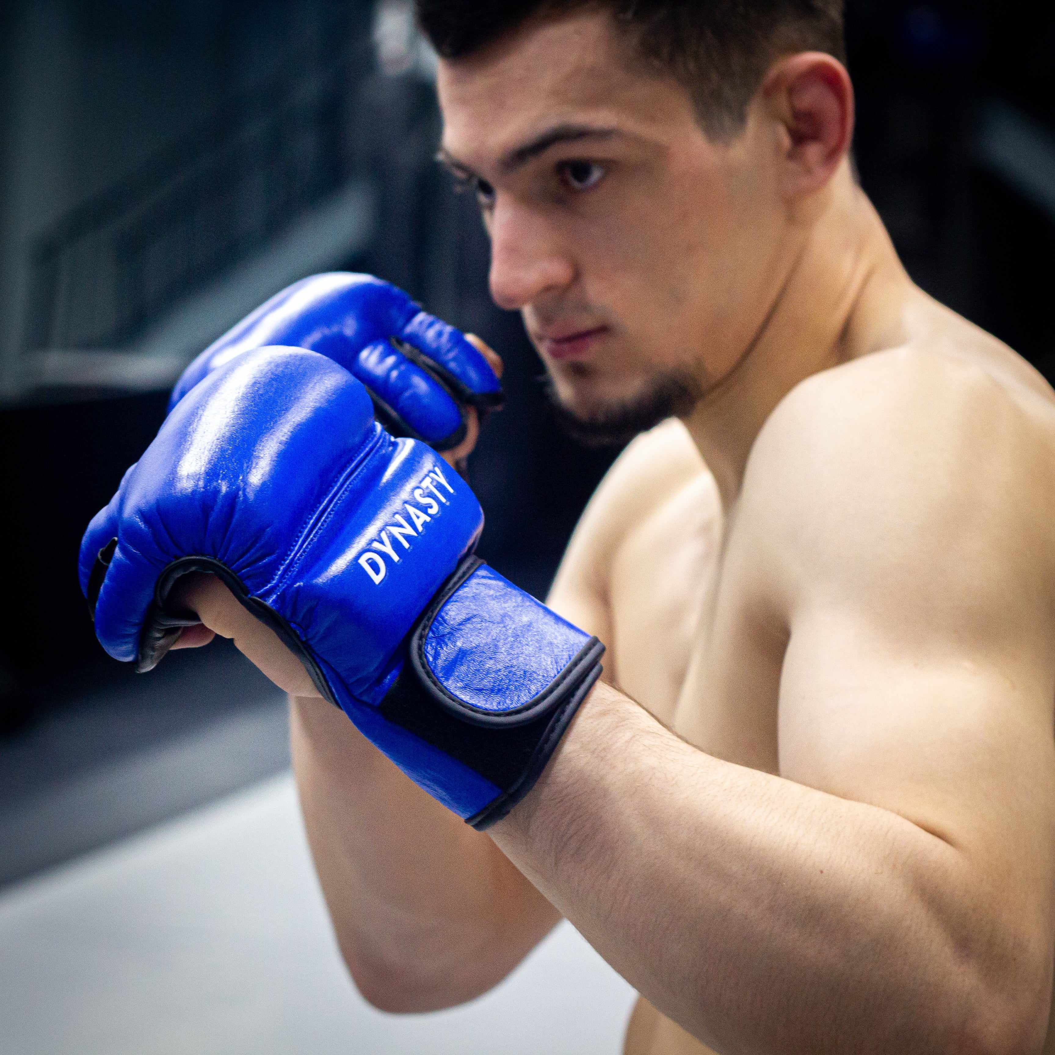 Renaissance (PRIDE) 3 MMA Fight Gloves (Classic Blue) – Dynasty