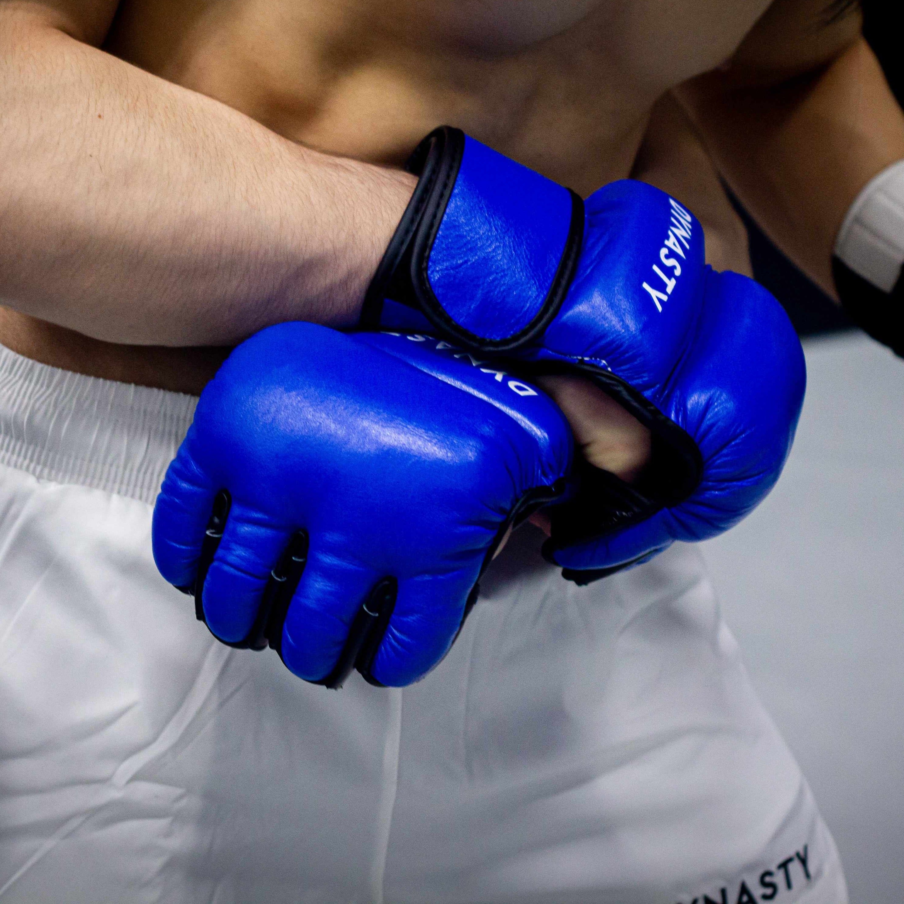 Renaissance (PRIDE) 3 MMA Fight Gloves (Classic Blue) – Dynasty