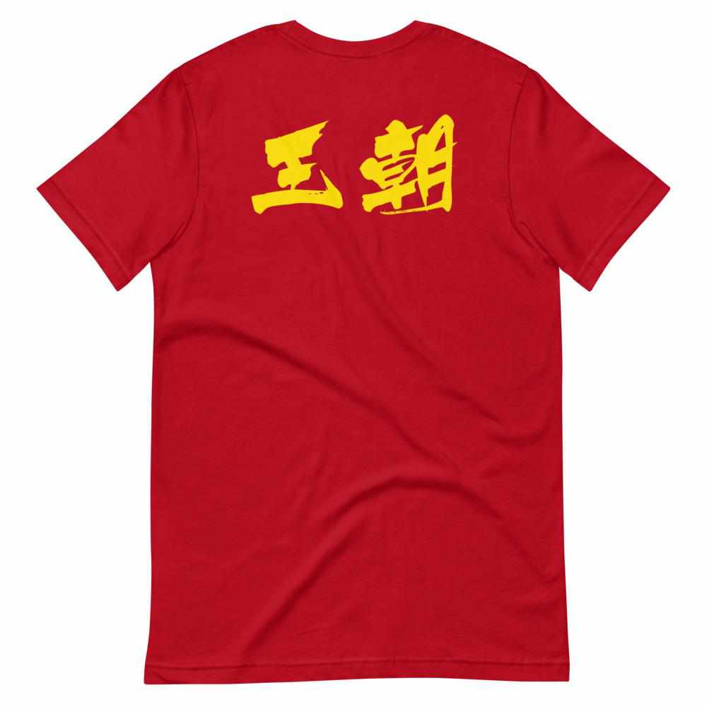 散打 Sanda / Sanshou Kung Fu (Chinese Kickboxing) Graphic T-Shirt-T-Shirts - Dynasty Clothing MMA
